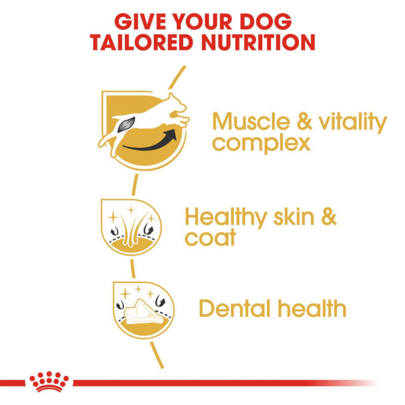 Royal Canin Jack Russell Terrier dog food for adult Jack Russell Terriers.