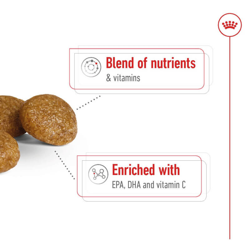Royal Canin X-Small Adult 8+ 1.5kg senior dog food with EPA, DHA, and vitamin C.