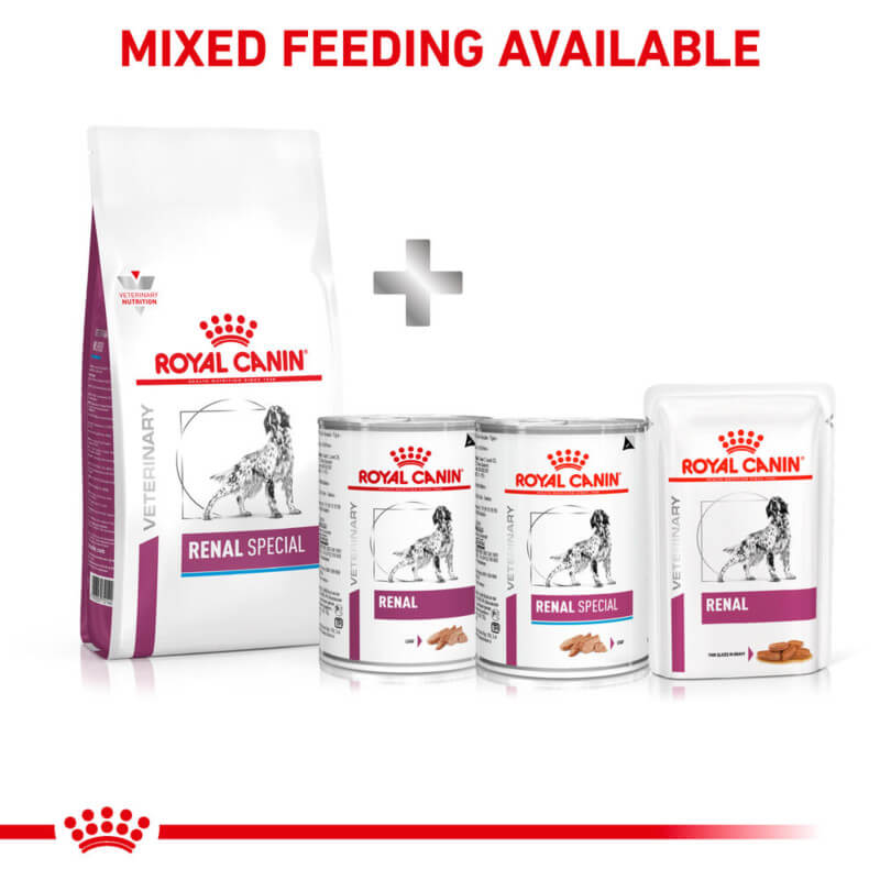 Royal Canin Veterinary Renal Special Adult Dry Dog Food supports dogs with kidney disease.