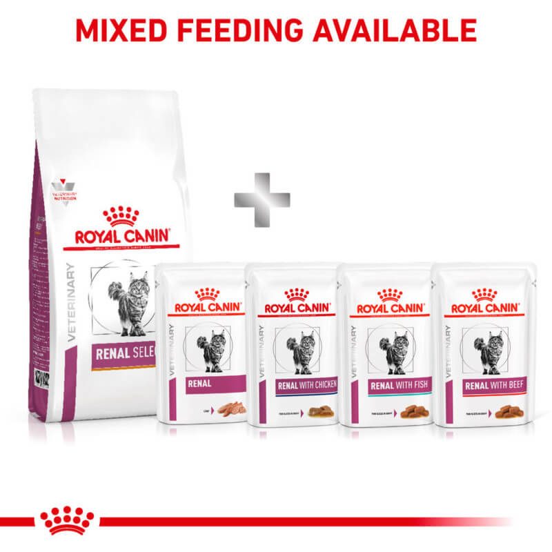 Royal Canin Veterinary Renal Select Adult Dry Cat Food, with text above.