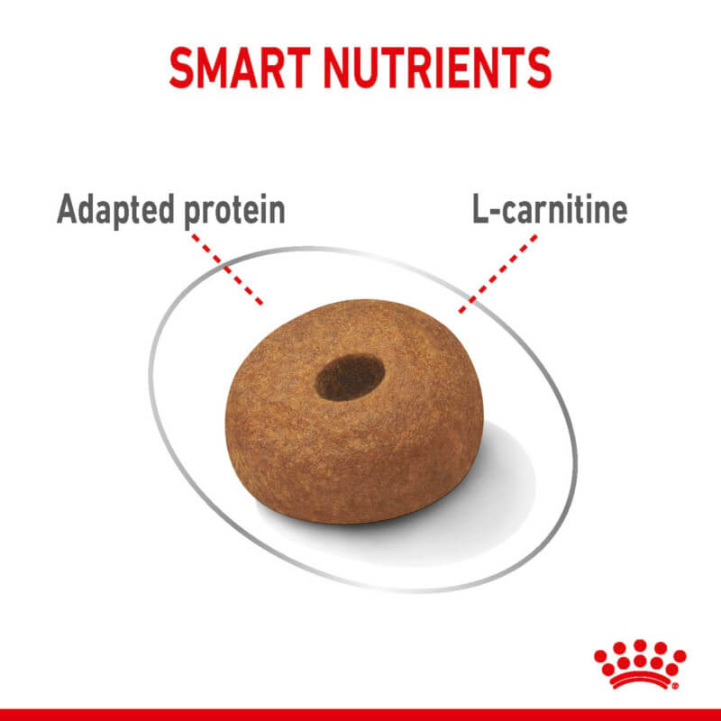 Brown kibble labeled Adapted protein and L-carnitine for Royal Canin Maxi Light Weight Care.