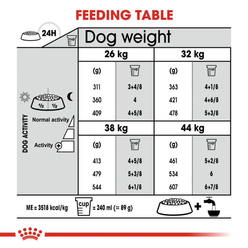 Royal Canin Maxi Joint Care feeding guide for large dogs, with daily amounts and joint support.