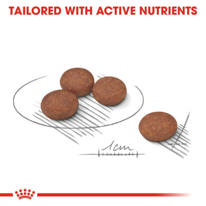 Four round Royal Canin Mini Digestive Care 3kg kibbles, each about 1 cm wide, on white background.