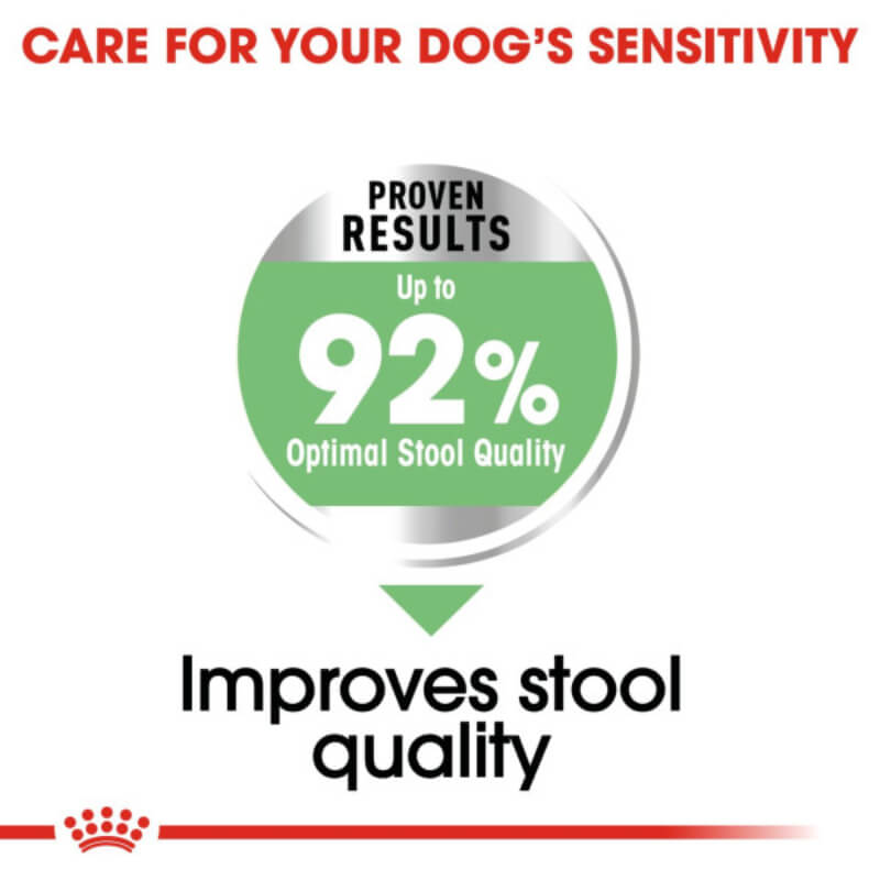 Royal Canin Mini Digestive Care 3kg for small dogs with sensitive digestion.