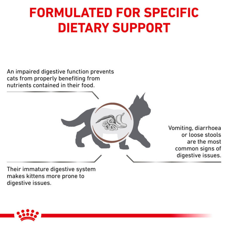 Cat digestive health diagram with Royal Canin Veterinary Feline Gastrointestinal Kitten dry food support.