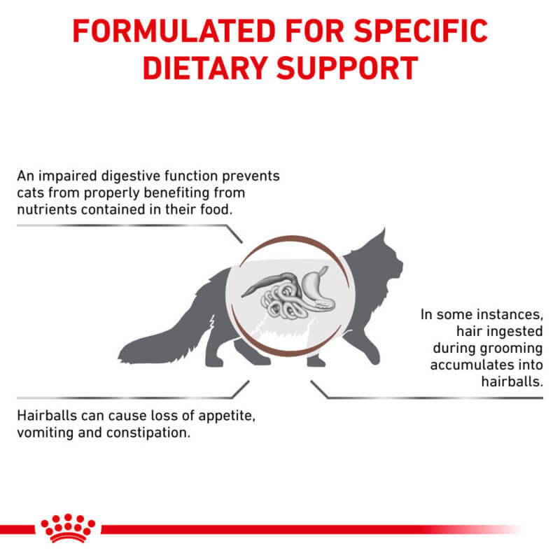 Cat silhouette with hairball control info, featuring Royal Canin Veterinary Feline Gastrointestinal Hairball.
