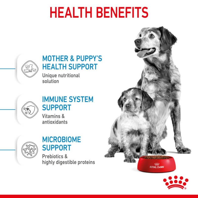 Royal Canin Medium Starter, ideal for mother and babydog of medium-sized breeds.