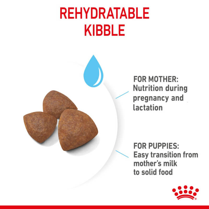 Three brown Royal Canin Medium Starter kibbles for mother and babydog nutrition.
