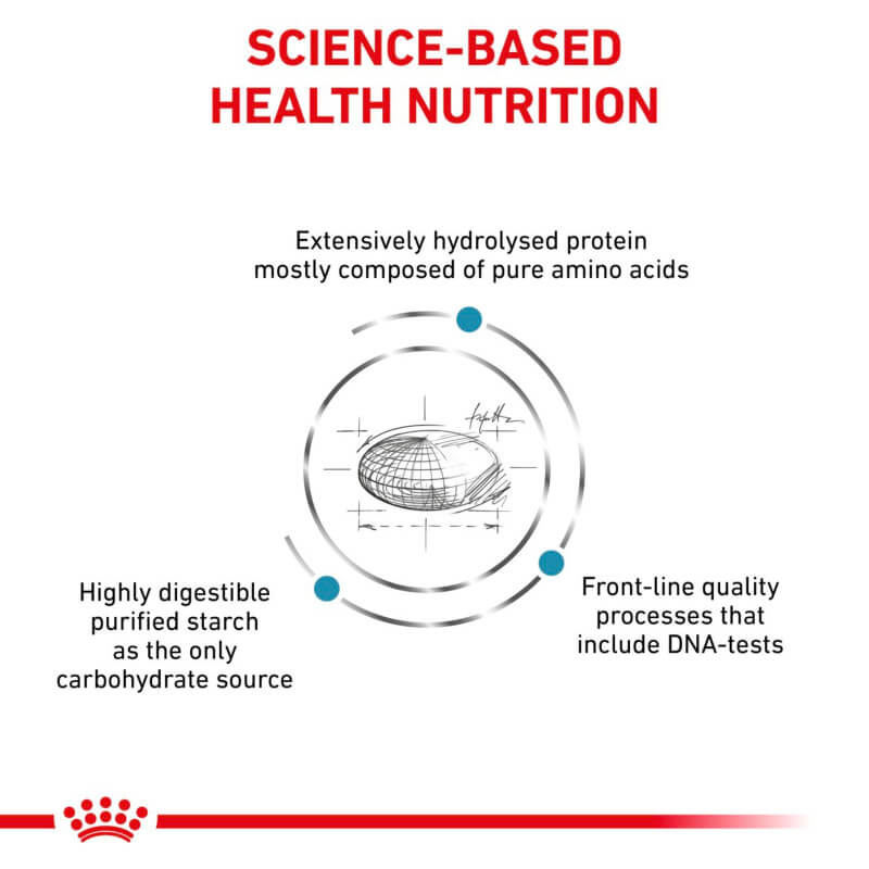 Diagram of Royal Canin Feline Anallergenic, highlighting protein, starch, and quality processes.