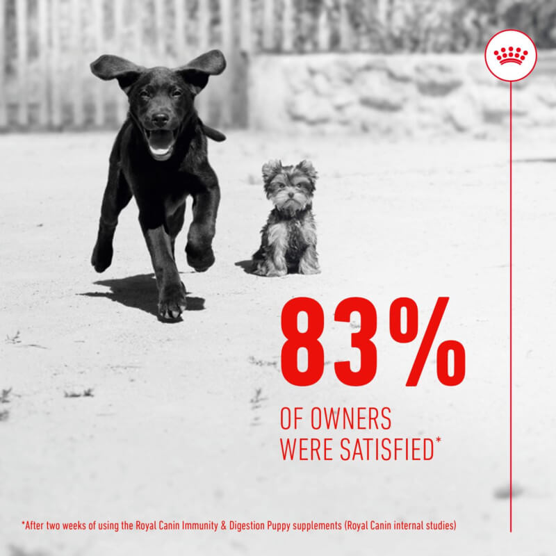 83% of owners loved Royal Canin Pup Digestion Supplement 100g for their puppies’ digestion.