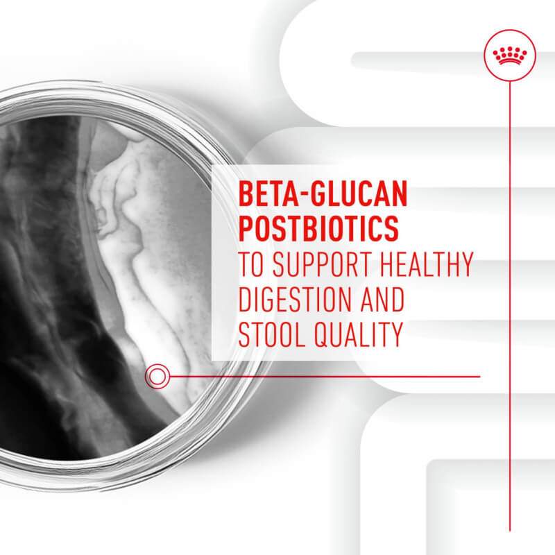 Royal Canin Pup Digestion Supplement: Prebiotics support puppies’ digestion and stool quality.