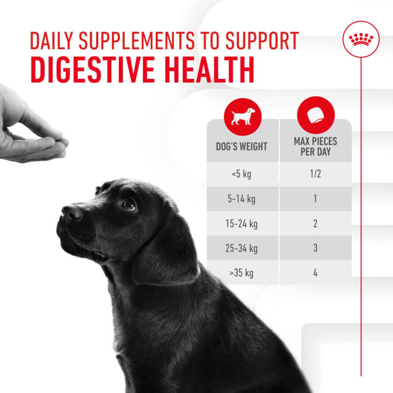 Royal Canin Pup Digestion Supplement chart shows dosage by puppy weight; black pup looks up.