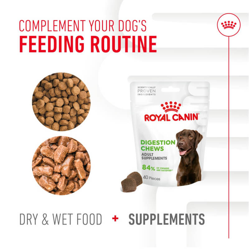 Royal Canin Adult Digestion Supplement 160g supports adult dogs' digestion with prebiotics.