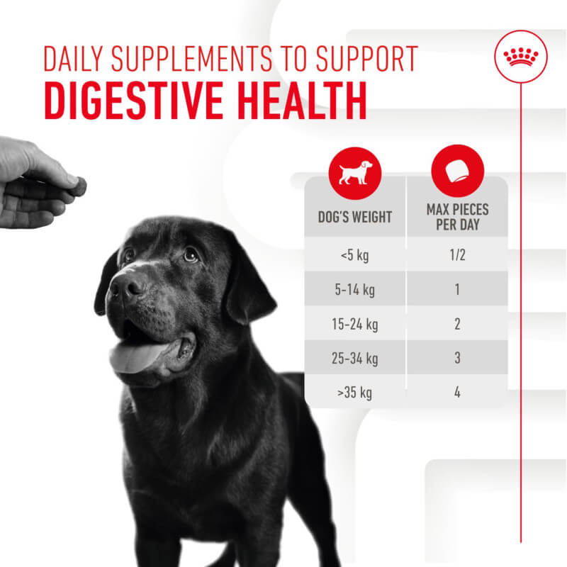 Black dog looks up at hand; chart shows Royal Canin Adult Digestion chews by dog’s weight.