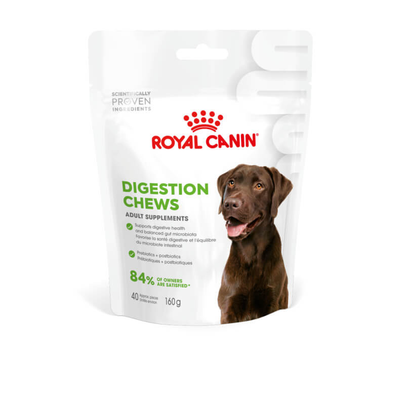 Royal Canin Adult Digestion Supplement 160g with prebiotics supports your dog's digestive health.