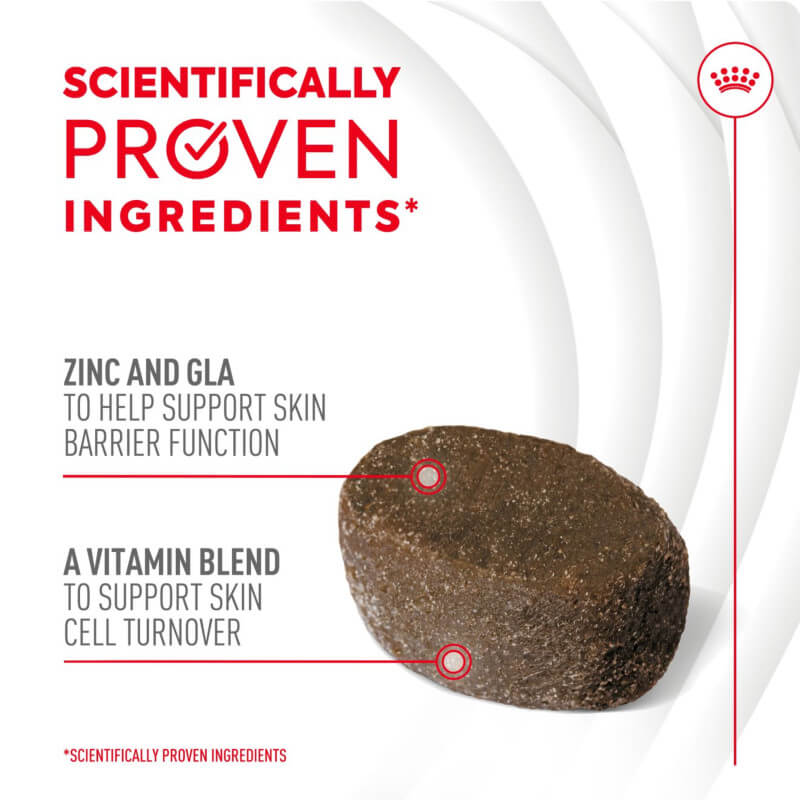 Brown kibble with text highlighting Royal Canin Adult Skin & Coat Supplement 240g for dogs.