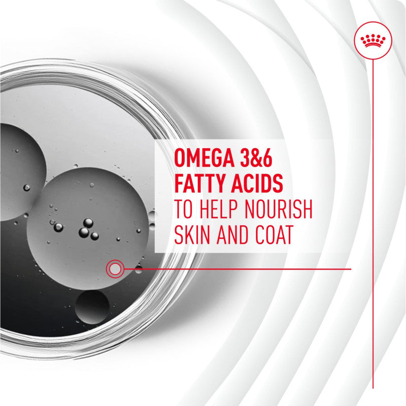 Royal Canin Skin & Coat Supplement: Omega 3&6 for healthy skin and a shiny dog coat.