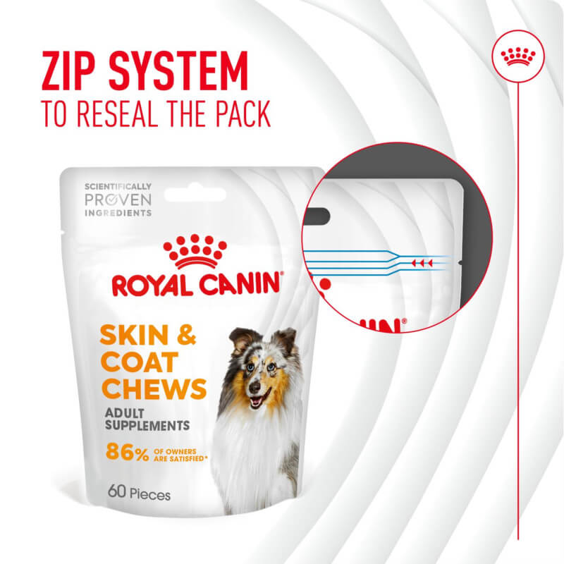 Royal Canin Adult Skin & Coat Supplement 240g, zip pack for dog skin health, Sheltie on front.