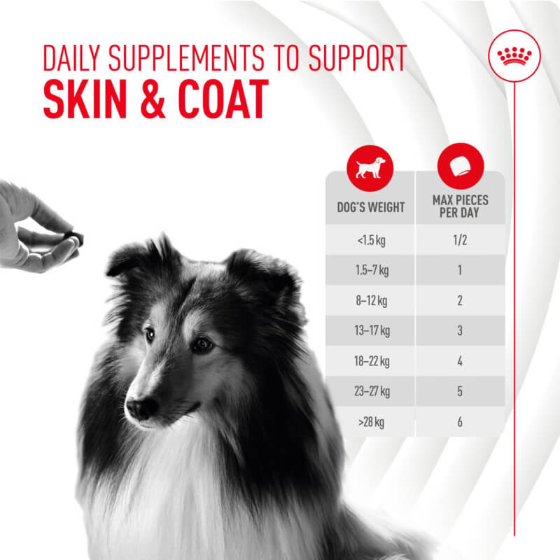 Person holds Royal Canin Adult Skin & Coat Supplement near dog; chart shows dosage by weight.