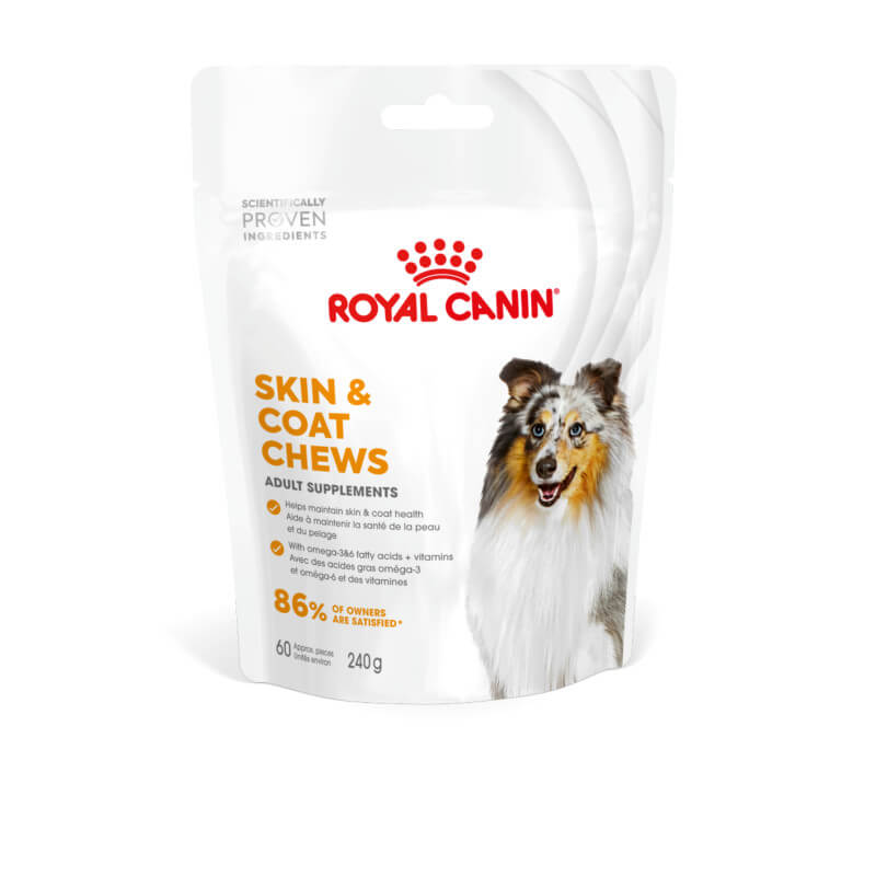 Royal Canin Adult Skin & Coat Supplement 240g bag for dogs; supports healthy skin and coats.