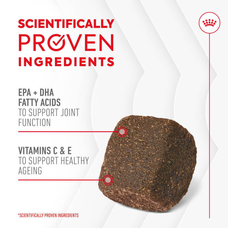 Royal Canin Joint & Ageing Supplement 240g: EPA+DHA, vitamins for dog joint health.