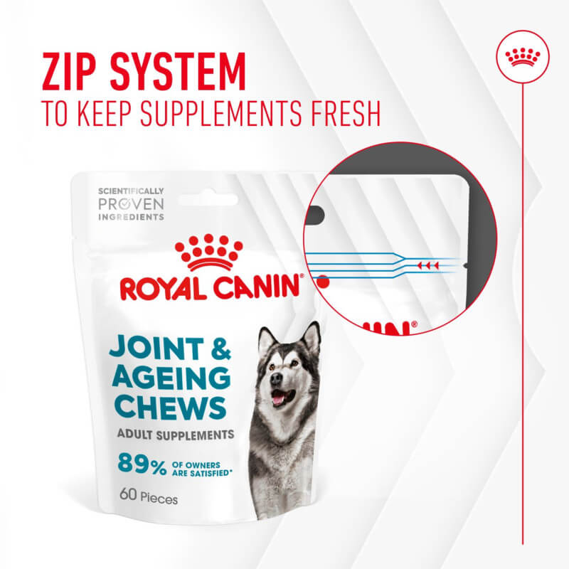Royal Canin Joint & Ageing Supplement 240g in a zip pouch with a dog on the packaging.