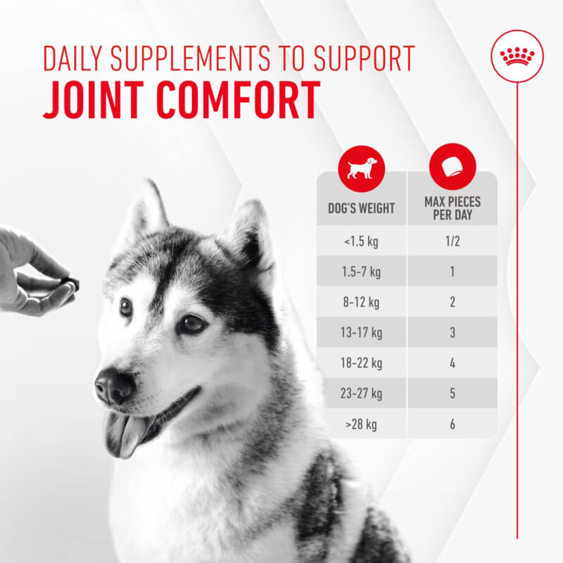 A person gives a husky Royal Canin Joint & Ageing Supplement 240g; dosage chart shown.