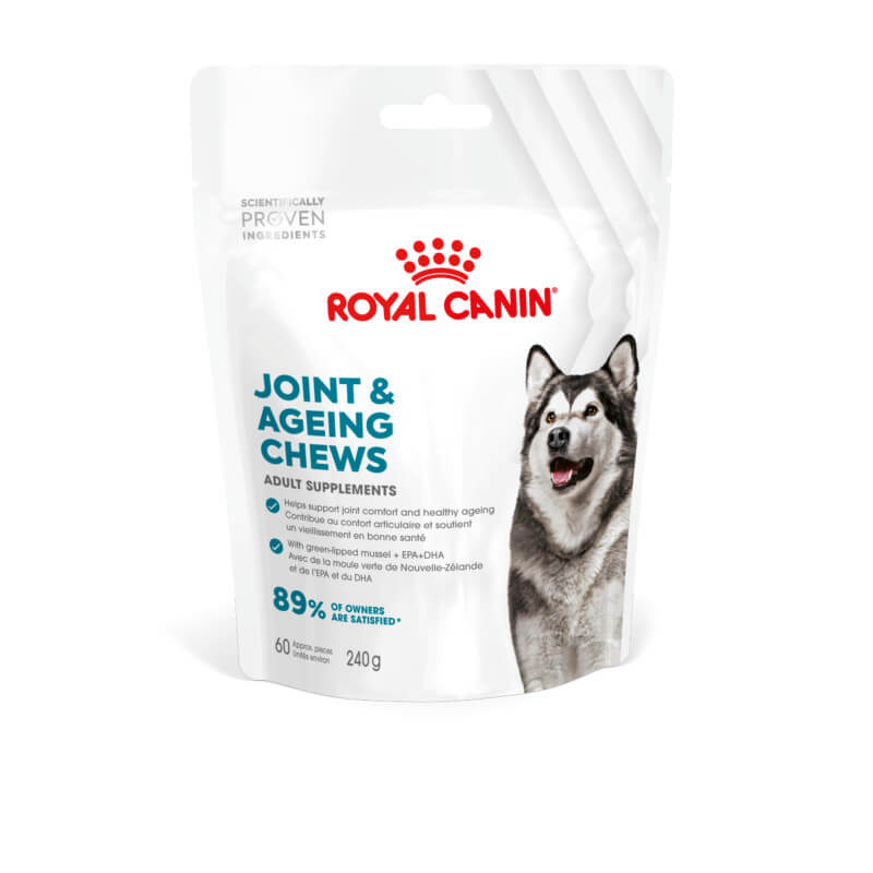 Royal Canin Joint & Ageing Supplement 240g pack for ageing dogs on white background.
