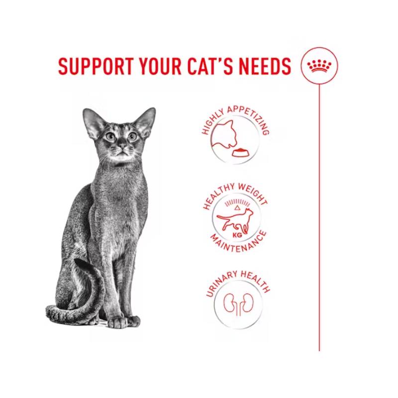 Royal Canin Feline Fussy Exigent—high-protein cat food for picky eaters.