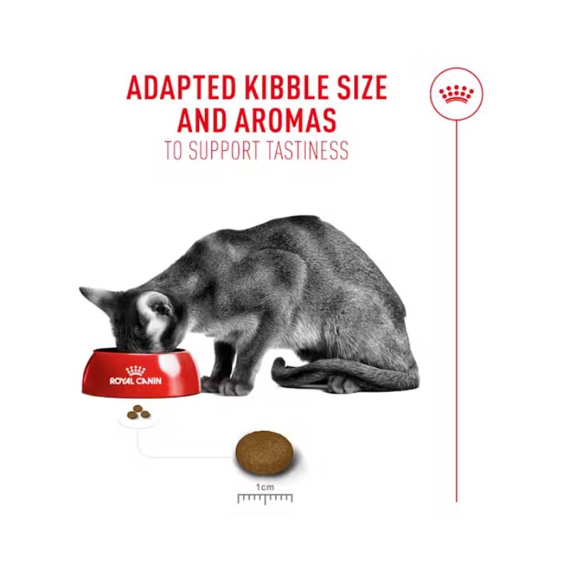 Gray cat eats Royal Canin Feline Fussy Exigent kibble for picky eaters from a red bowl.