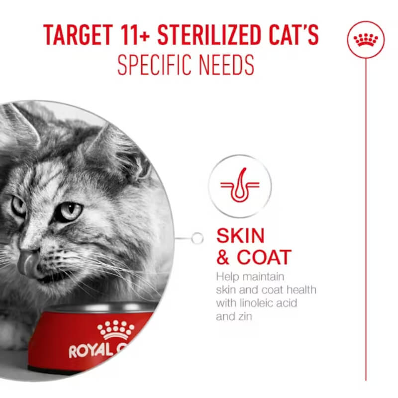 Gray cat eating from Royal Canin Feline Ageing Sterilised 11+ bowl; highlights senior nutrition.