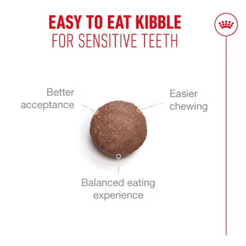 Royal Canin Feline Ageing Sterilised 11+: Easy to eat, balanced kibble for senior cats.
