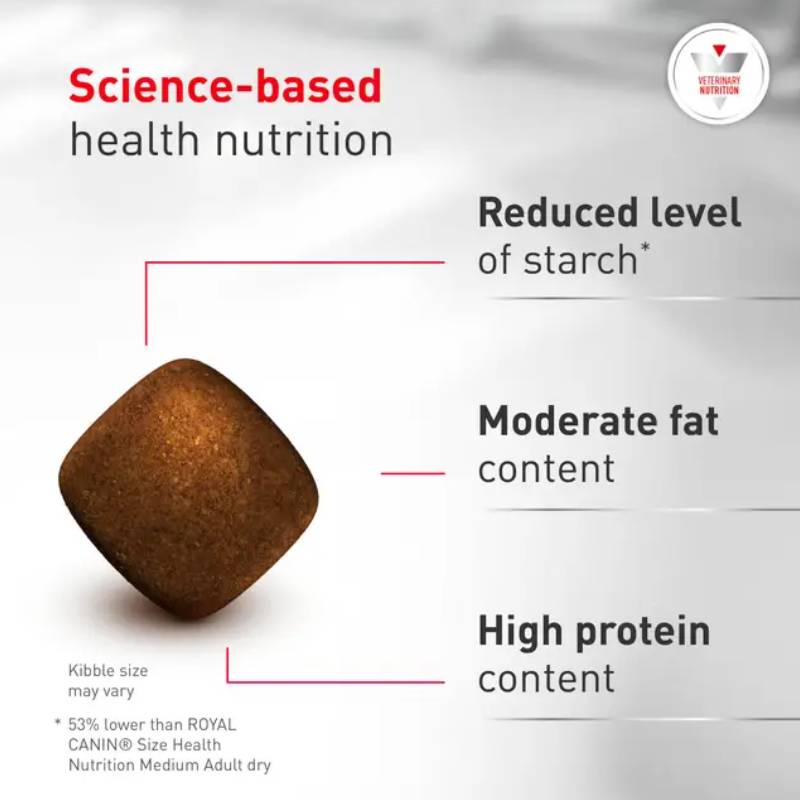 Royal Canin Veterinary Glycobalance: brown diabetic dog kibble, low starch, high protein.