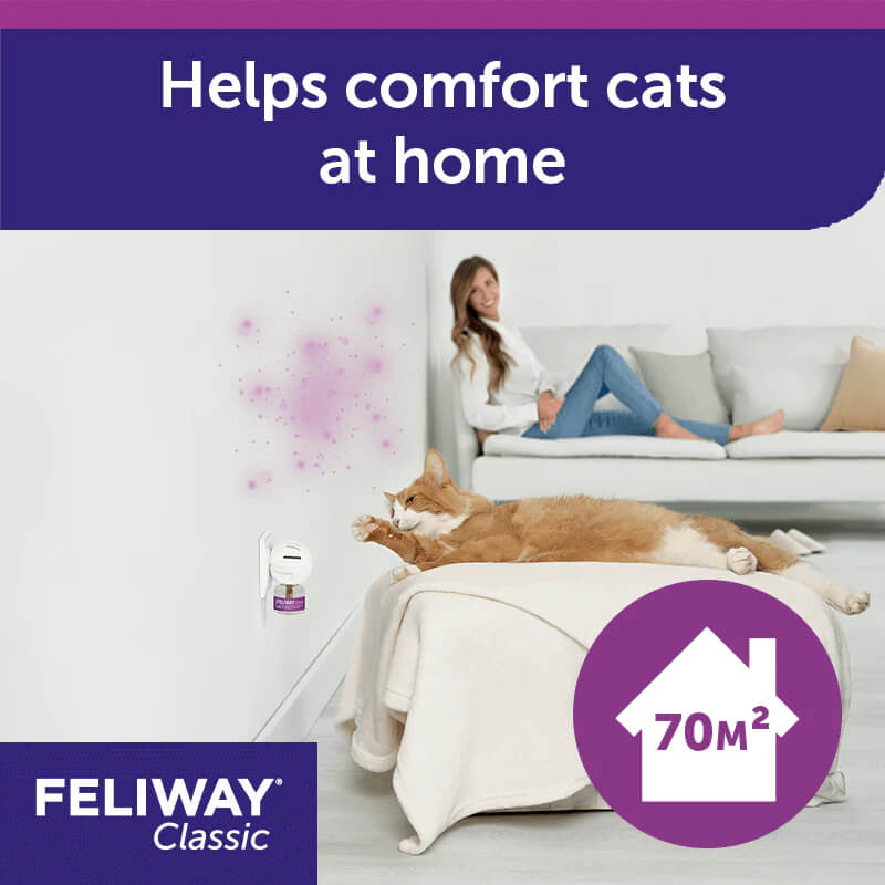 Ceva Feliway Diffuser Starter Pack 48ml for cat stress relief, showing a woman with her cat.
