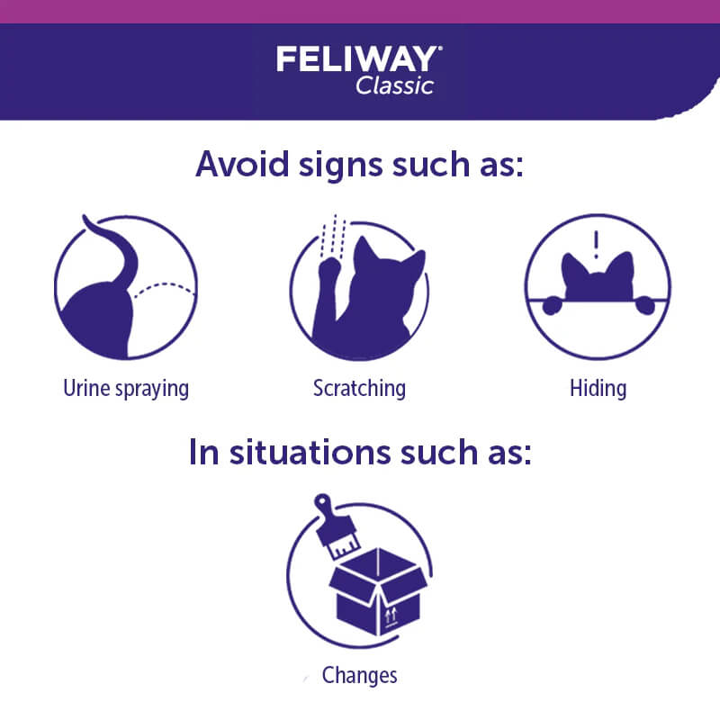 Ceva Feliway Diffuser Starter Pack 48ml helps prevent cat spraying, scratching, and hiding.
