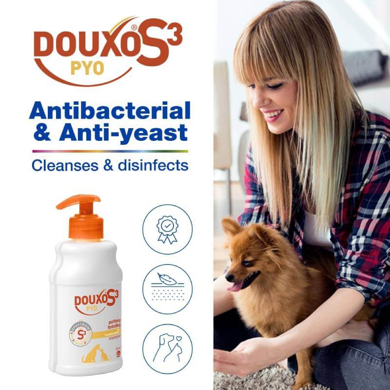 Douxo S3 PYO Antibacterial Shampoo for Dogs and Cats 200ml-Pet n Pony-DOUXO
