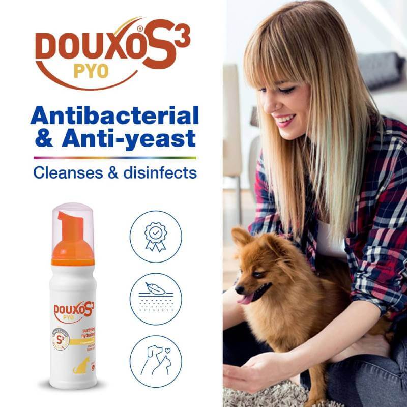 Douxo S3 PYO No-Rinse Antibacterial & Anti-Yeast Mousse for Dogs-Pet n Pony-DOUXO