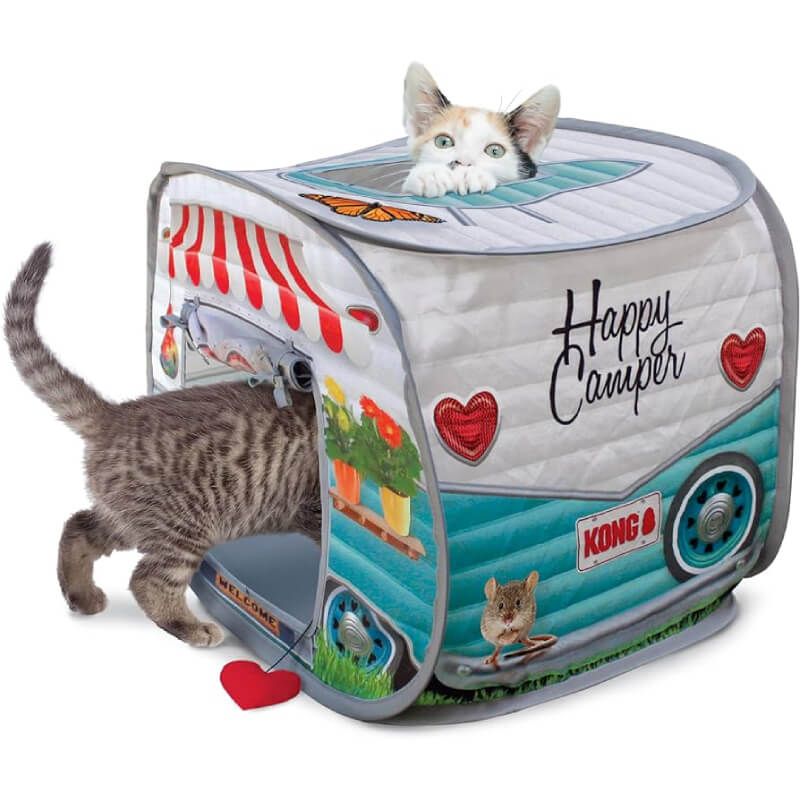 Two kittens play in and on the Kong Play Spaces Kitty Camper by Kong.