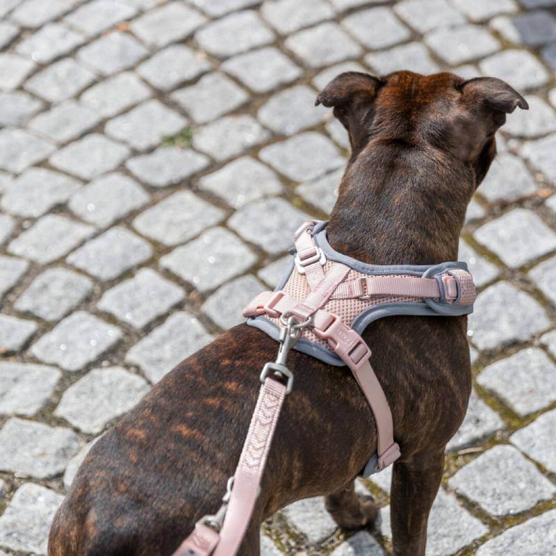 Trixie Premium FlexMesh Harness Blush: light pink/gray, adjustable straps, metal ring.