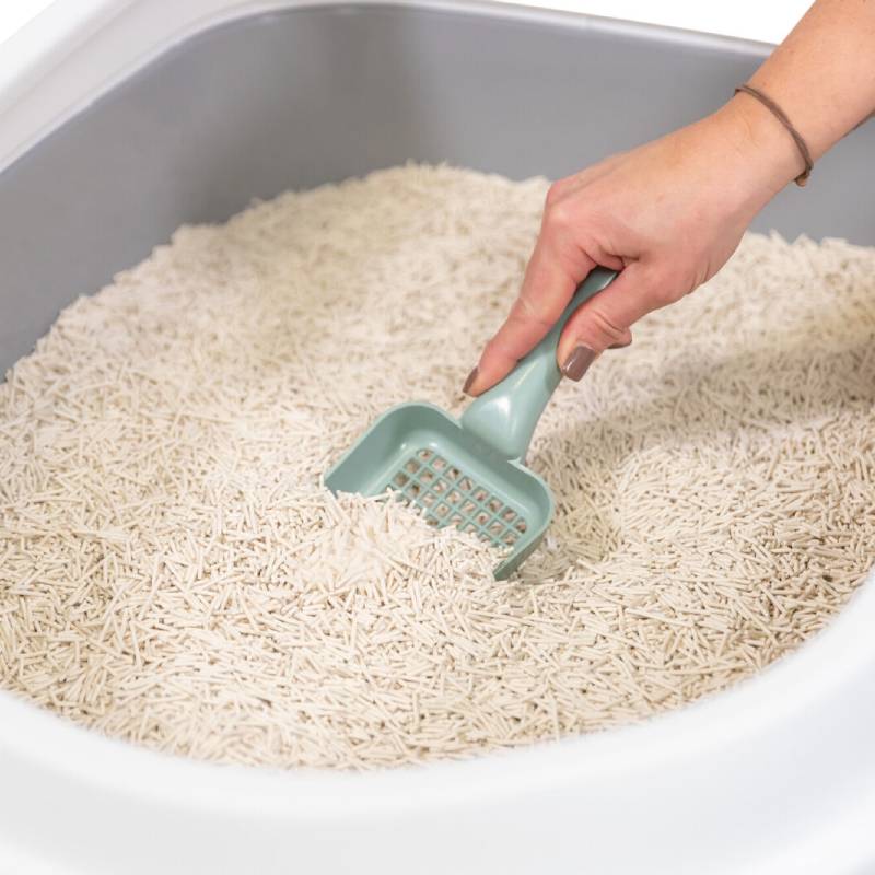Bob Martin Trixie Tofu Clumping Cat Litter 4.5kg, plant-based with cat and tofu on the pack.