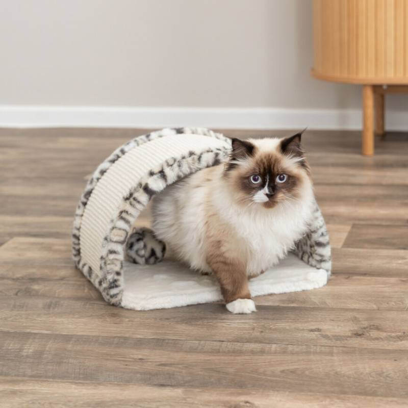 Blue-eyed cat lounges on Trixie Leo Cat Scratching Bridge Cream Leopard by Trixie.