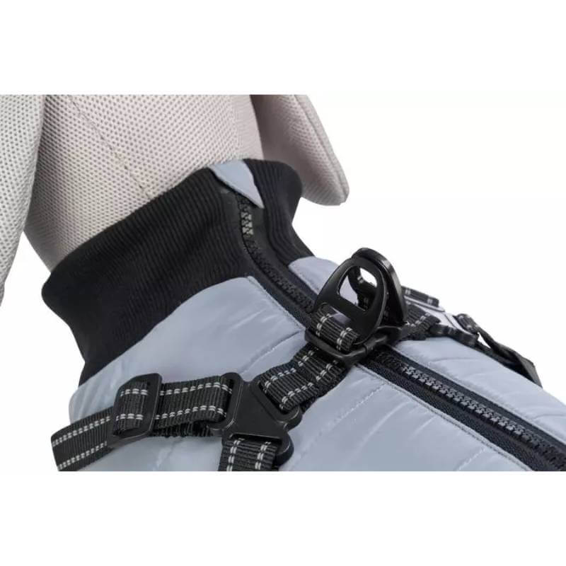 Close-up of a dog in a Trixie Pontis Coat with Harness Grey, featuring a black buckle.