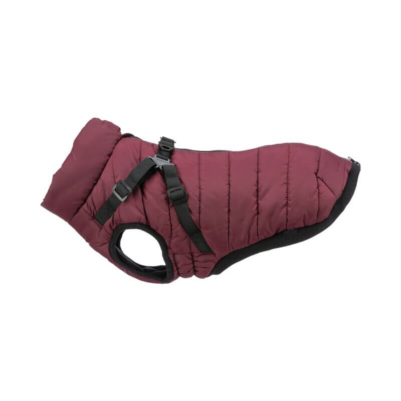 Trixie Pirou Coat with Harness Sangria: warm quilted dog coat with black trim and buckle straps.