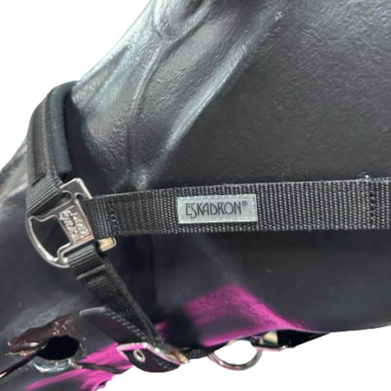 Close-up of a black horse in an Eskadron Basics PetnPony Headcollar with padded nose and poll.
