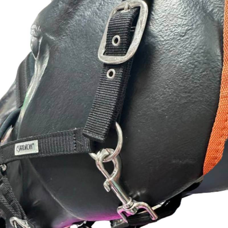 Close-up of Eskadron Basics PetnPony Headcollar with tear-proof webbing and padded nose.
