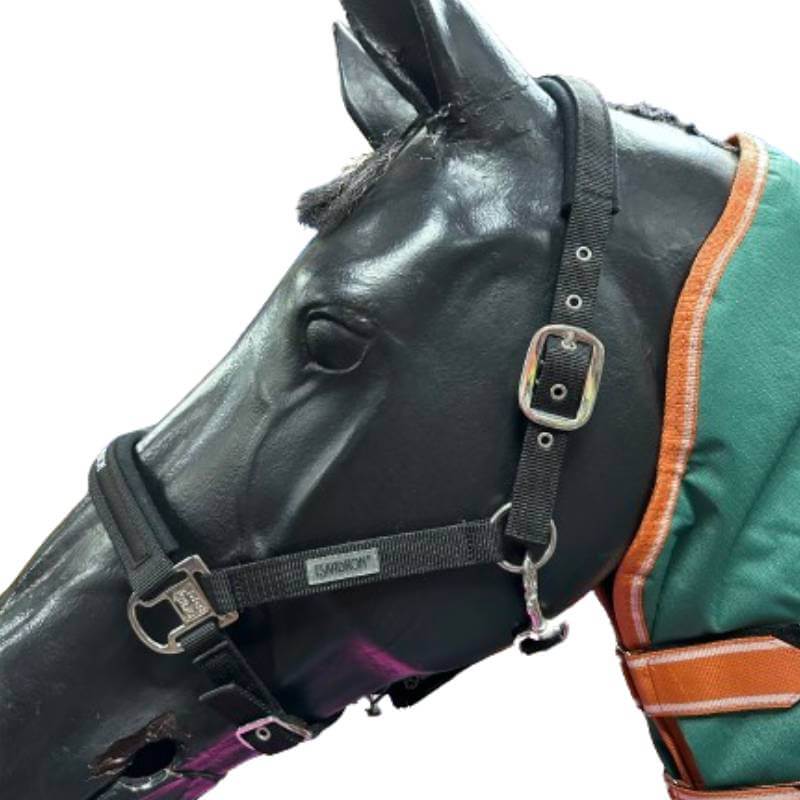 A black horse mannequin head in an Eskadron Basics PetnPony Headcollar and a green-orange blanket.