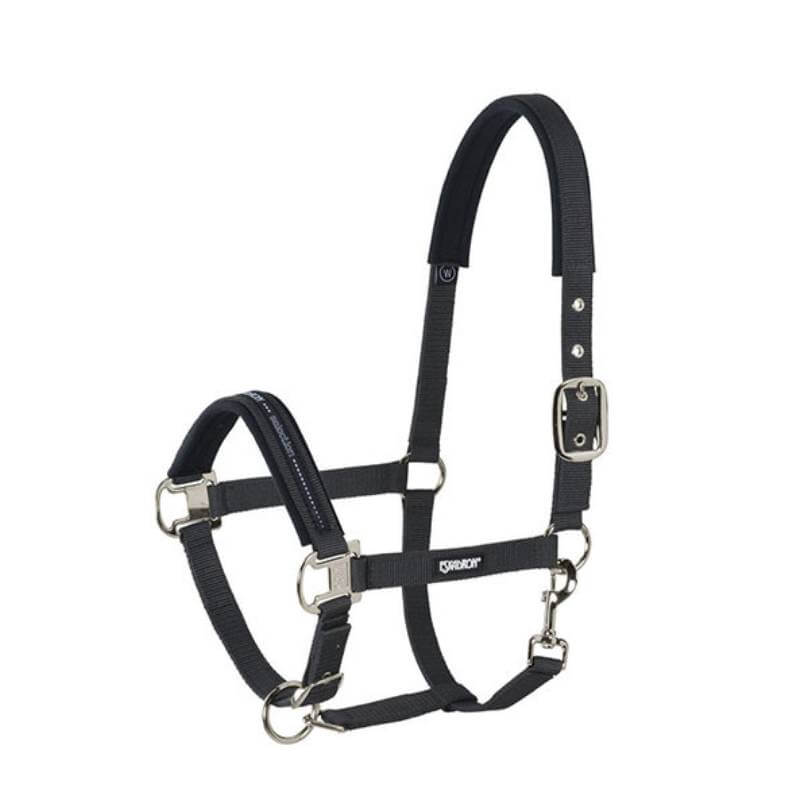 Red, navy & white Eskadron Basics PetnPony Headcollar with padding and silver buckles.