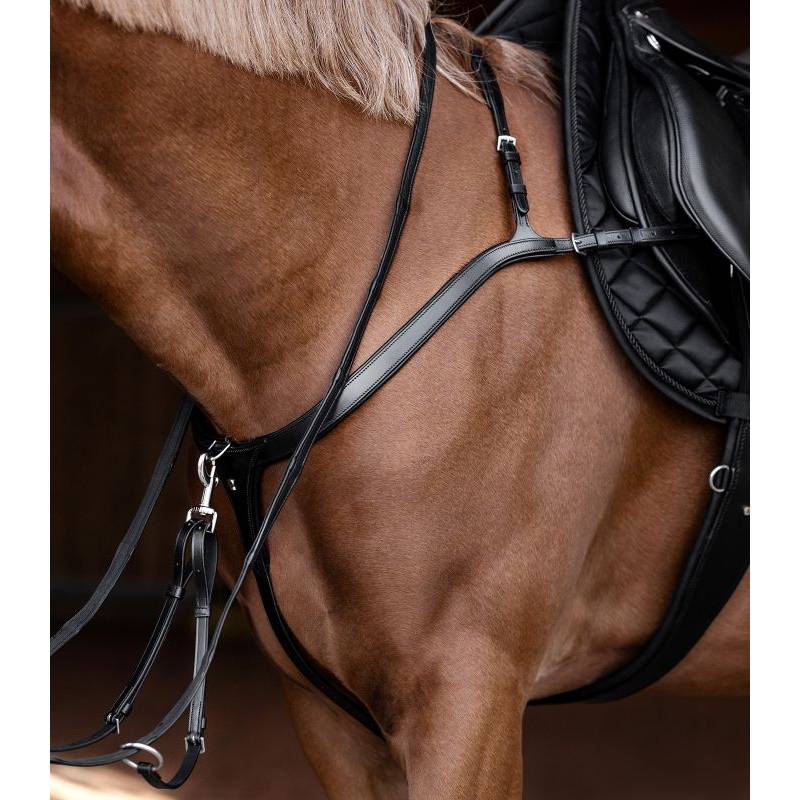 A close-up of a brown horse in Waldhausen X-Line Breastplate with Long Bridge, black, full size.