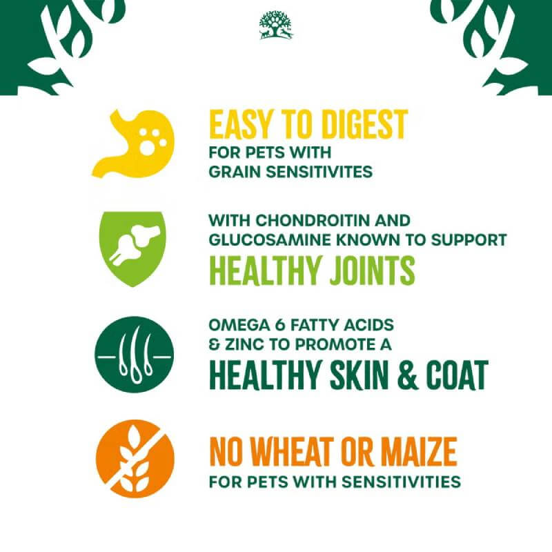 James Wellbeloved Lamb & Veg Senior highlights digestion, joints, skin, and is grain free.