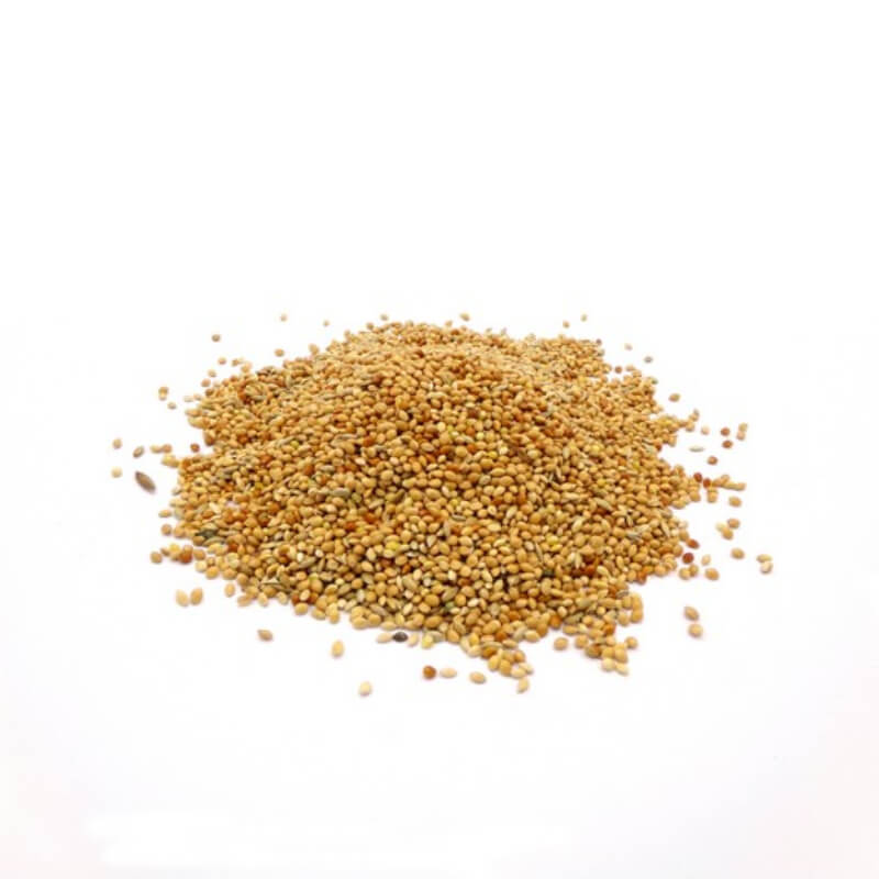Marriages Budgie Food, nutritious yellow millet seeds, on a white background.